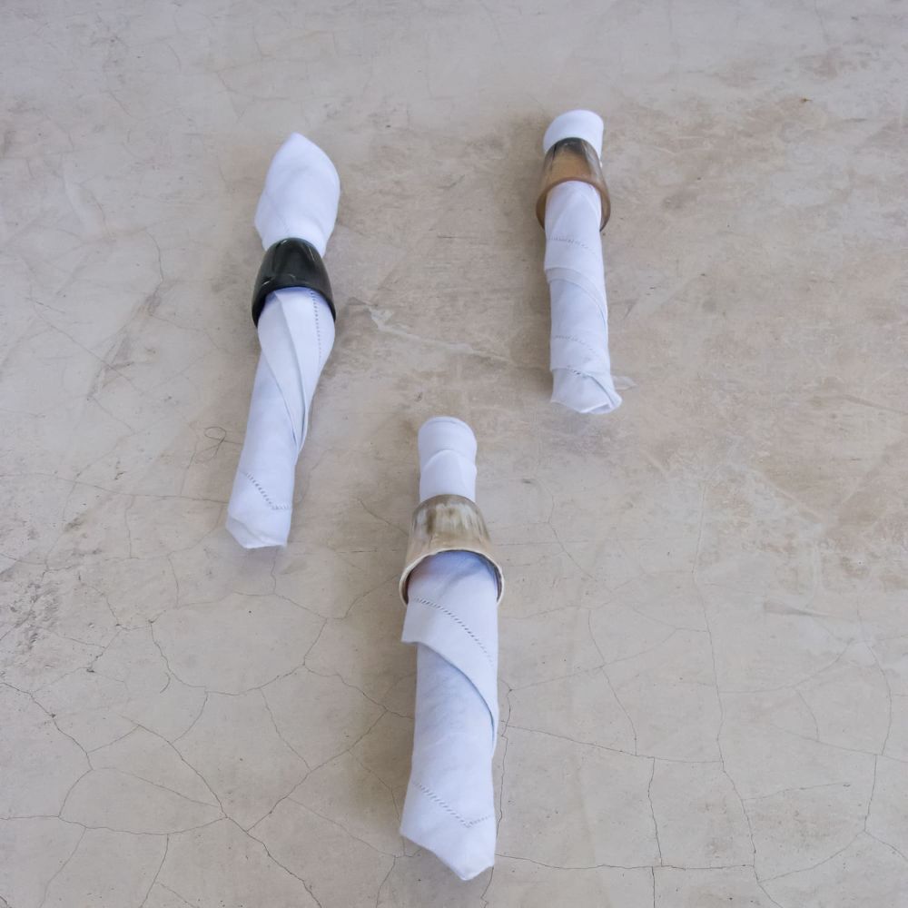 Napkin Holder Horn