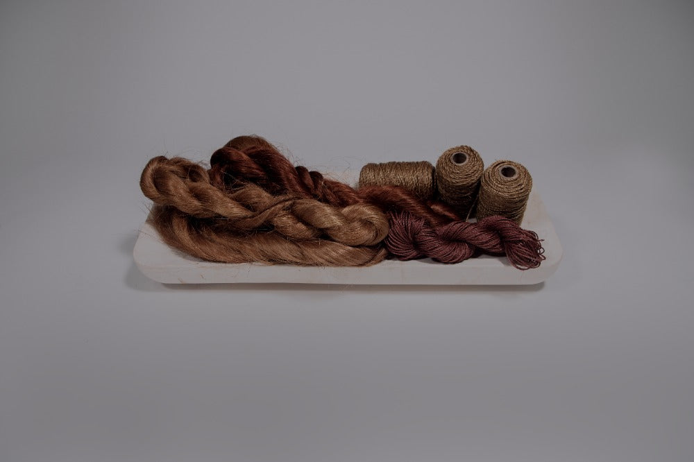 Sansevieria Peinada Standard Dye Stick A