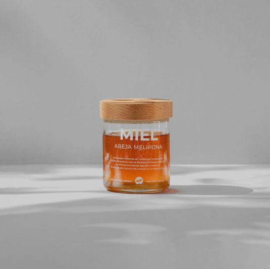 Melipona Honey Bee