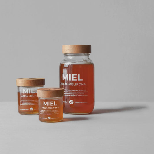 Melipona Honey Bee
